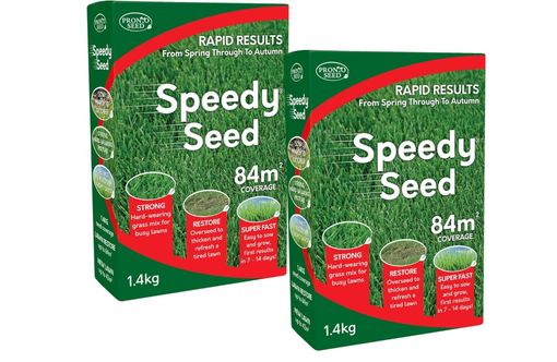 Grass seed 