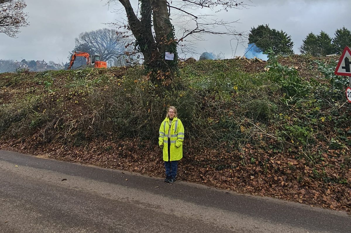 Councillor Jess Bailey stood under a beech tree on Ottery St Mary's Sidmouth Road while waiting for an emergency tree protection order