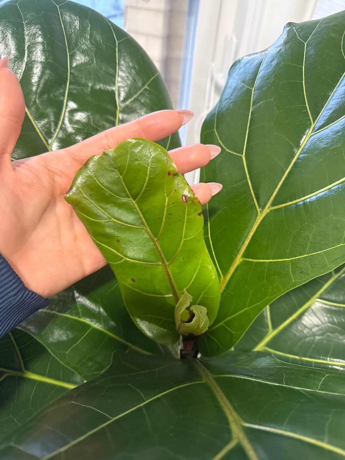 How can I prevent burning How can I prevent burning