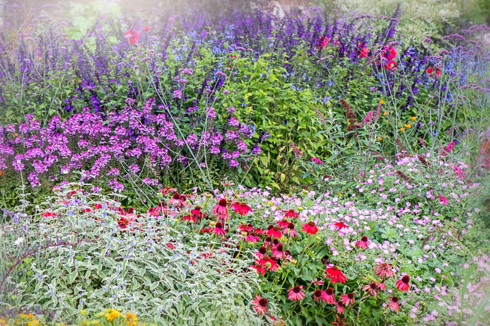 garden trends 2026