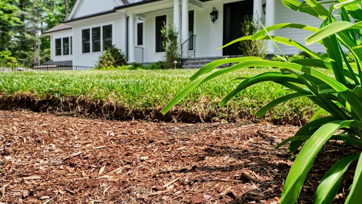 Gardener shares photos after spotting 'new housemate' living in yard: 'Gorgeous'