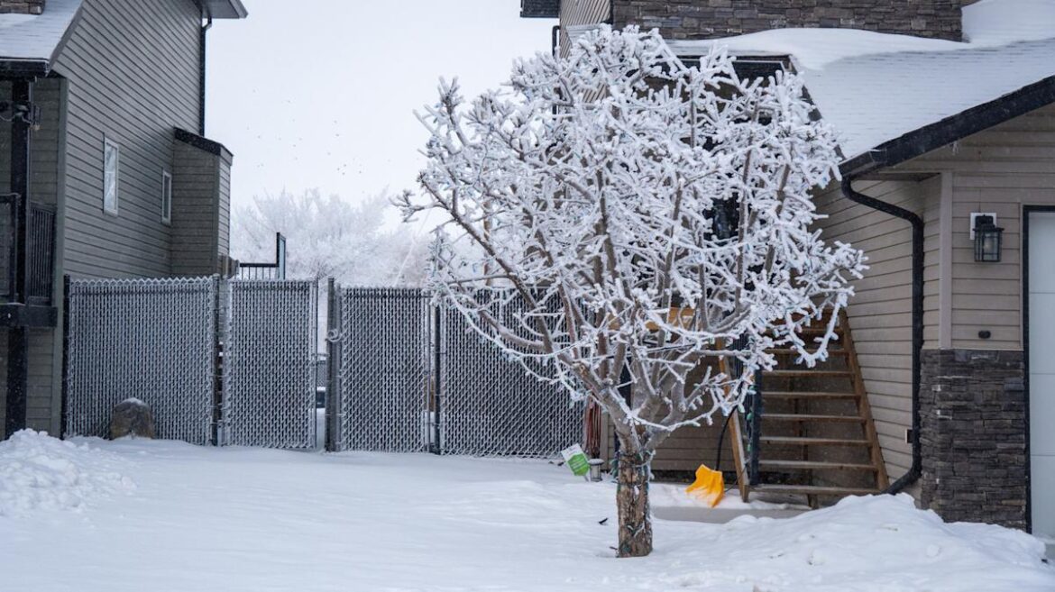 The Late-Winter Gardening Technique That'll Work Wonders On Your Fruit Trees