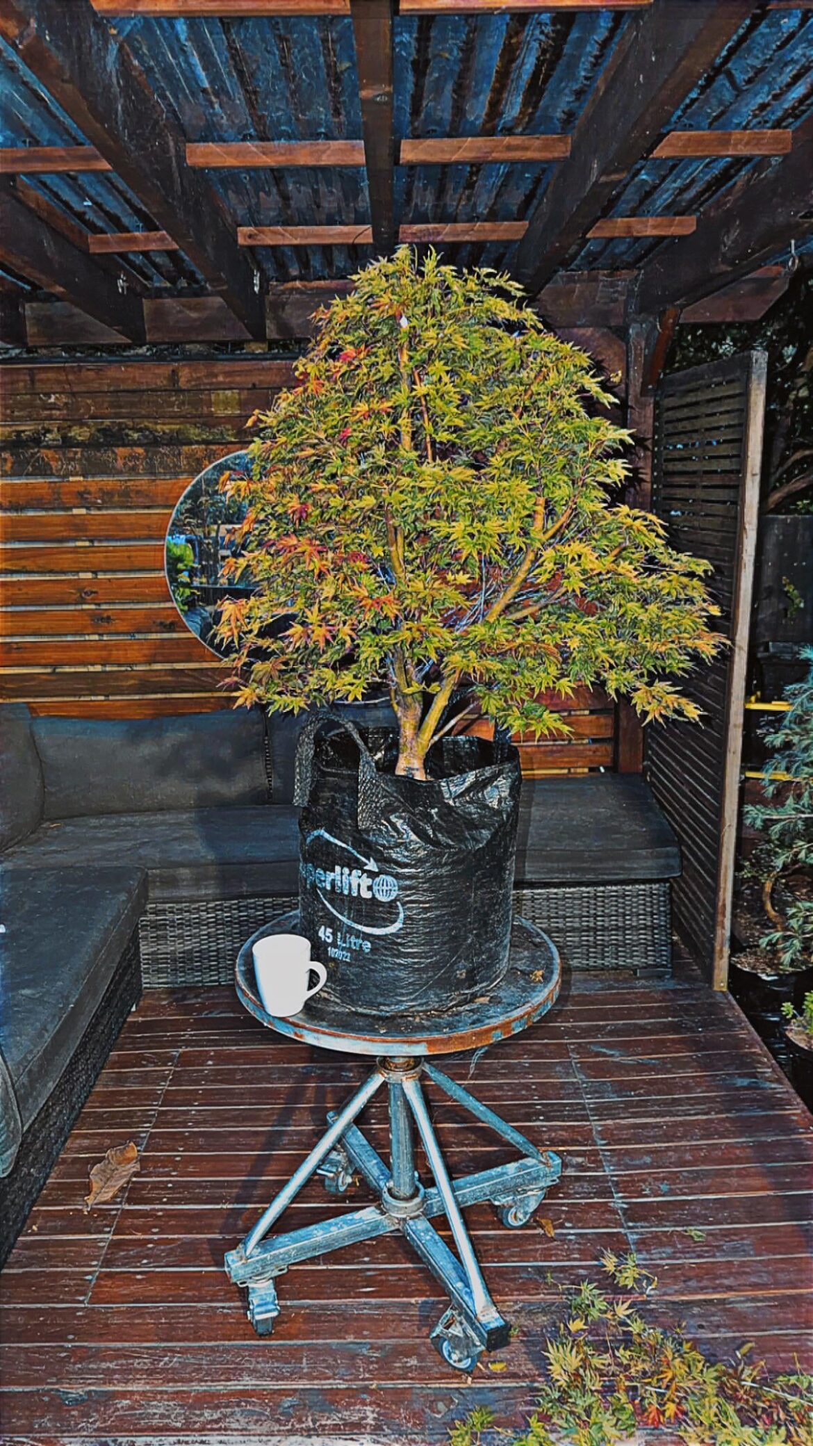 Last day of summer in NZ!