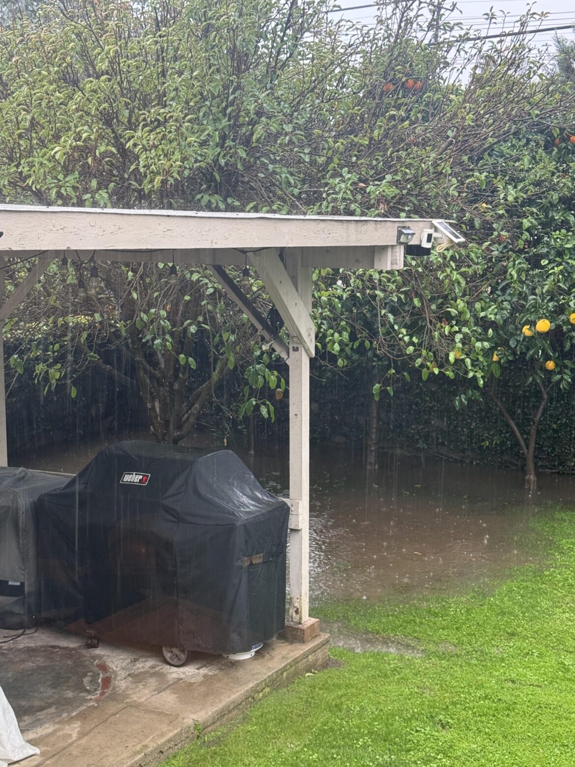 Corner of backyard pools into a swamp with heavy rain. What’s the solution to fix this? Corner of backyard pools into a swamp with heavy rain. What’s the solution to fix this?