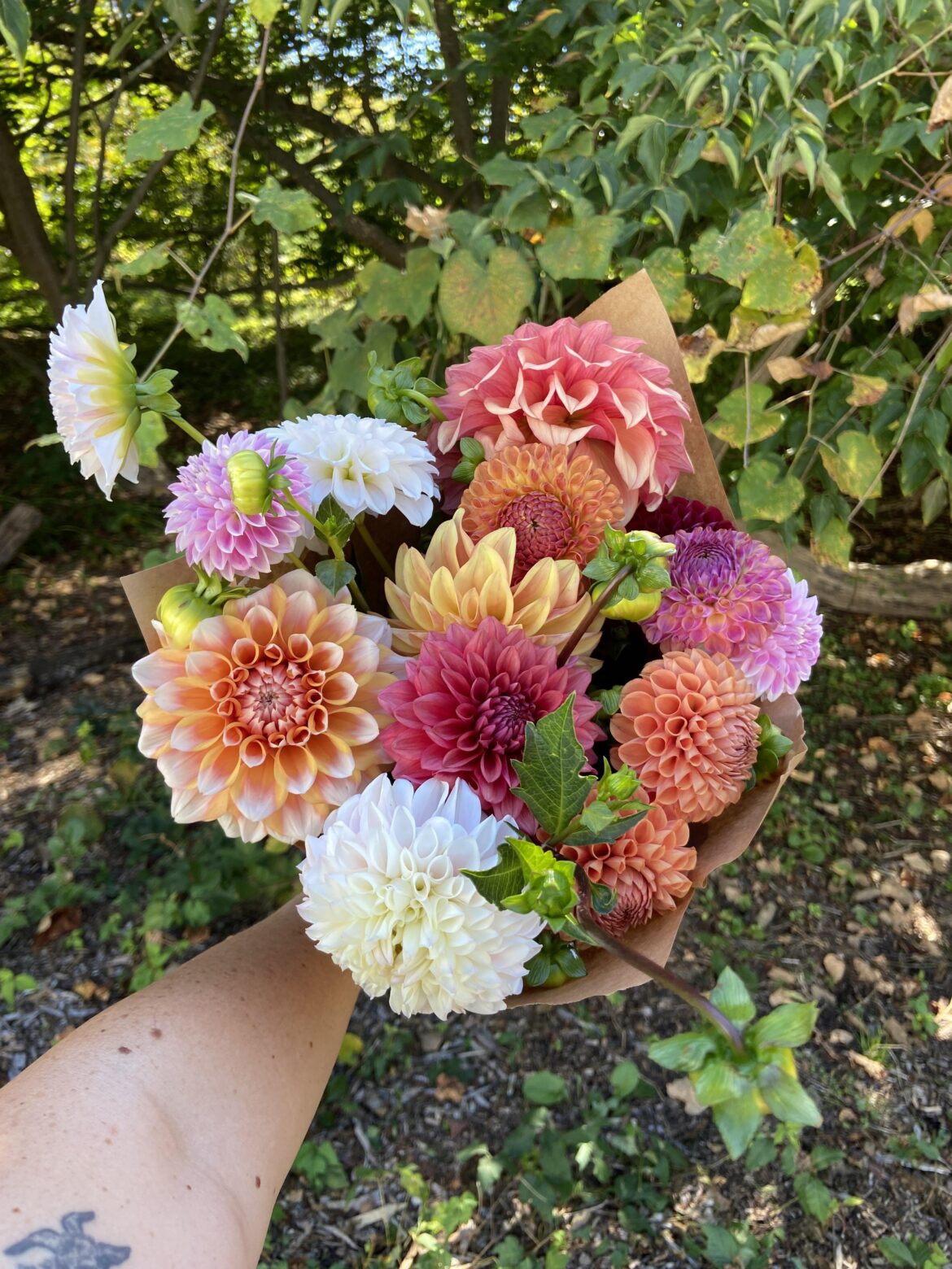 Valentines tuber sale extended an extra day :)