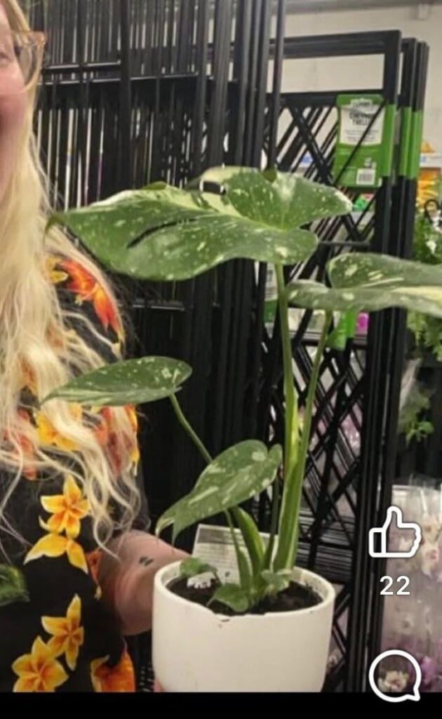 I had a lady tell me Walmart plans don’t last, here’s my Walmart Thai con! Over a year in my possession.