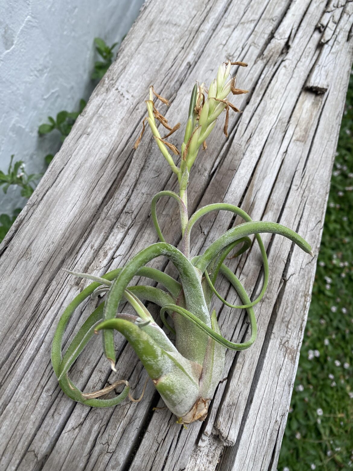 Is that a seed? 😁