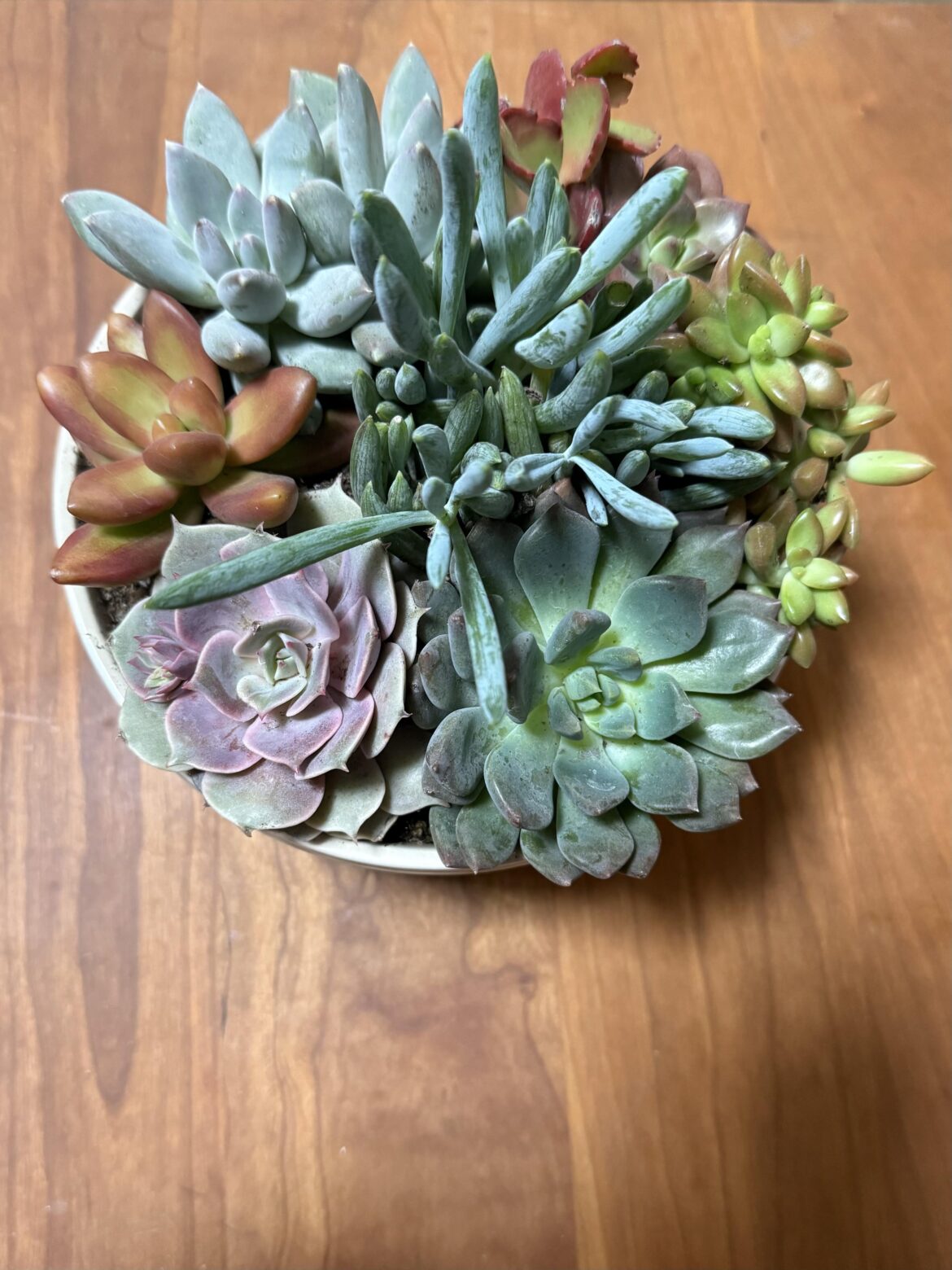 Help me not kill these! Help me not kill these!