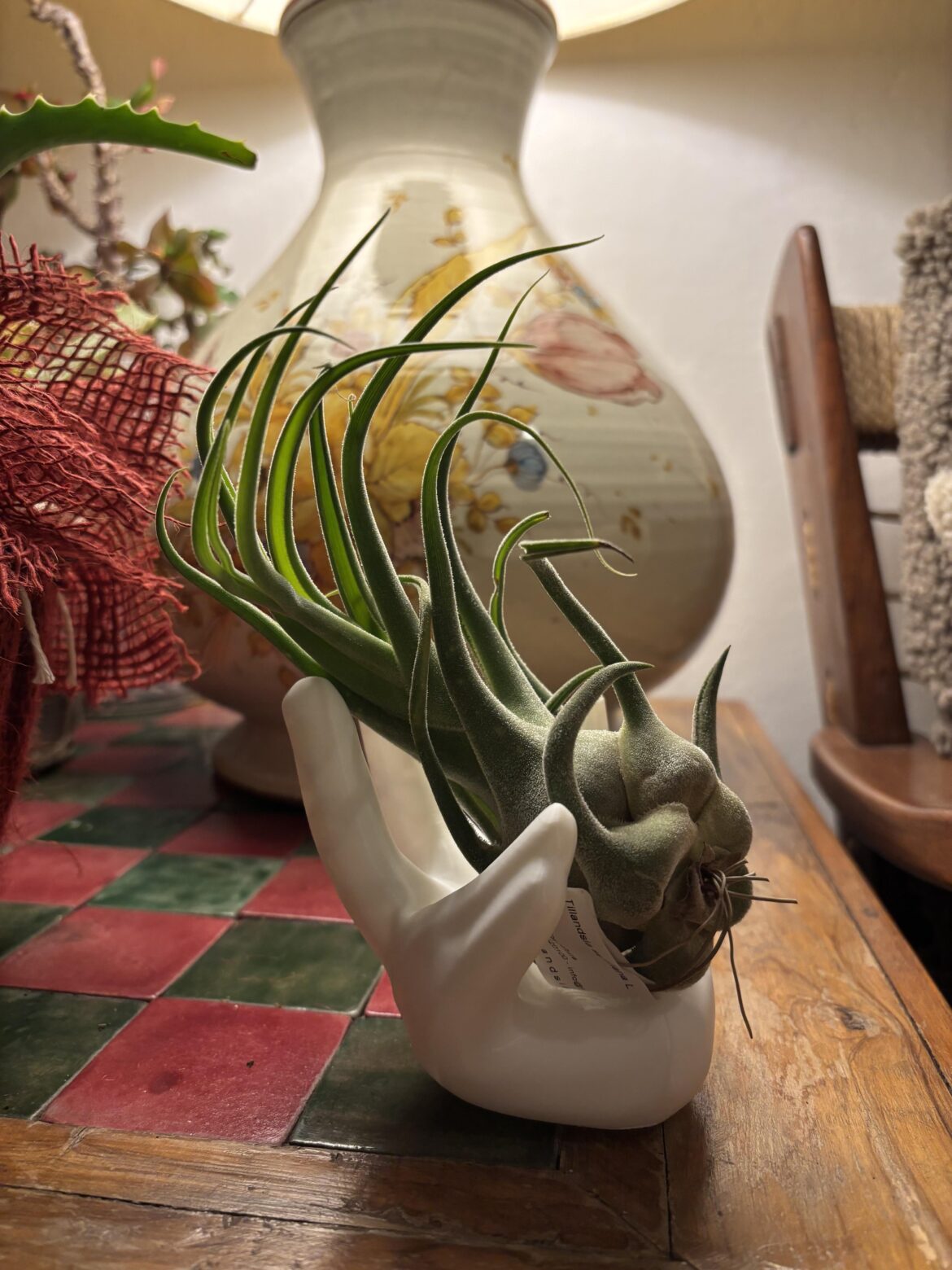 Designed and 3D printed a Hand for my Seleriana!