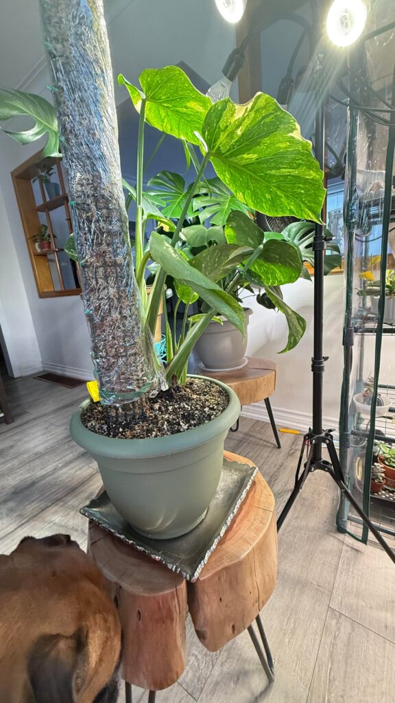 Is this normal?