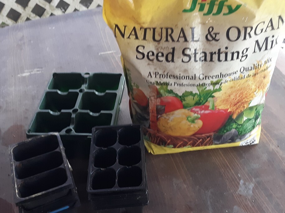 Saturday Morning Garden Blogging Vol.22.07
Pepper Seeds are in the Dirt Saturday Morning Garden Blogging Vol.22.07
Pepper Seeds are in the Dirt