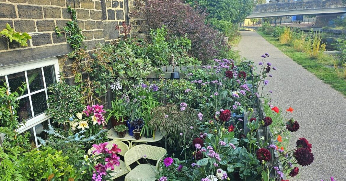 Kamal Kaan's Hockney-inspired garden is voted the best