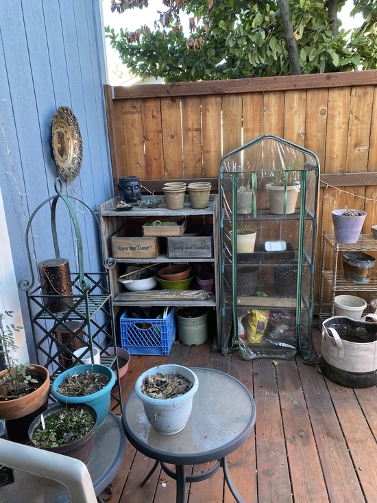 shelves full of empty pots and a little greenhouse with some plants in it along the patio fence.