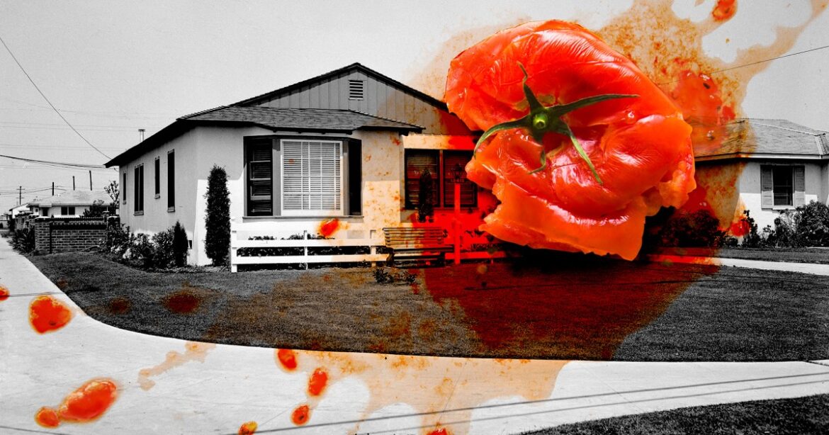 They Just Wanted to Grow Food. Their Suburban Neighbors Declared War. – Mother Jones They Just Wanted to Grow Food. Their Suburban Neighbors Declared War. – Mother Jones