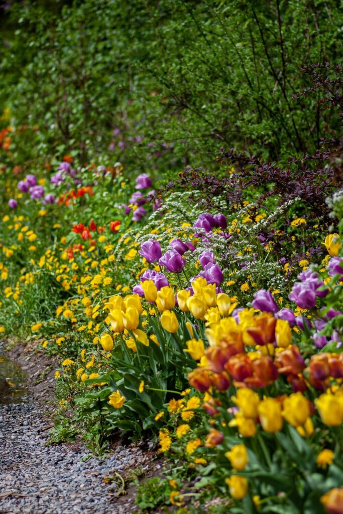 A gardener’s delight | The River Reporter A gardener’s delight | The River Reporter