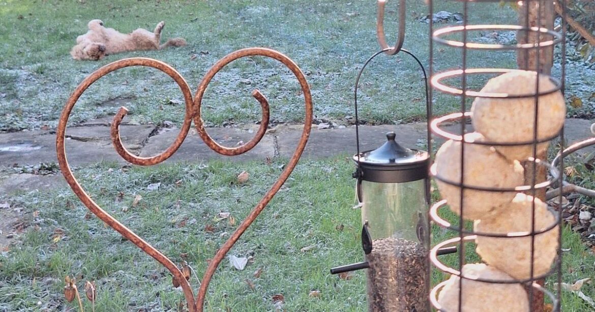 How you can prepare your garden for an early spring