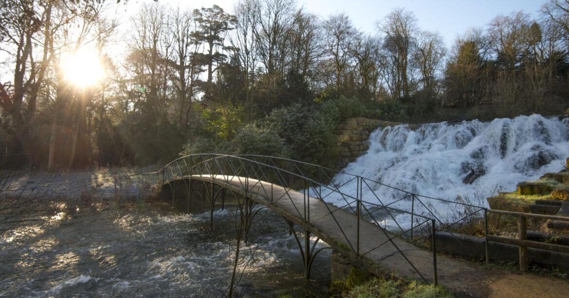 Blenheim Palace gardens see biggest change in over a century Blenheim Palace gardens see biggest change in over a century
