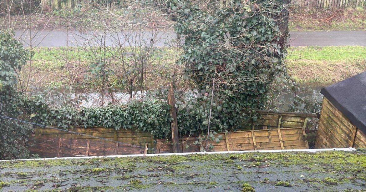 Rogerstone garden overrun by 100-year-old tree and brambles Rogerstone garden overrun by 100-year-old tree and brambles