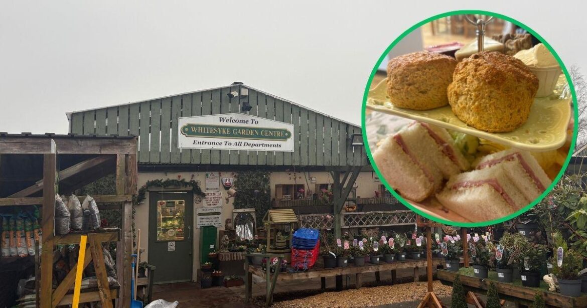 Review: Whitesyke Garden Centre, Cumbria afternoon tea Review: Whitesyke Garden Centre, Cumbria afternoon tea