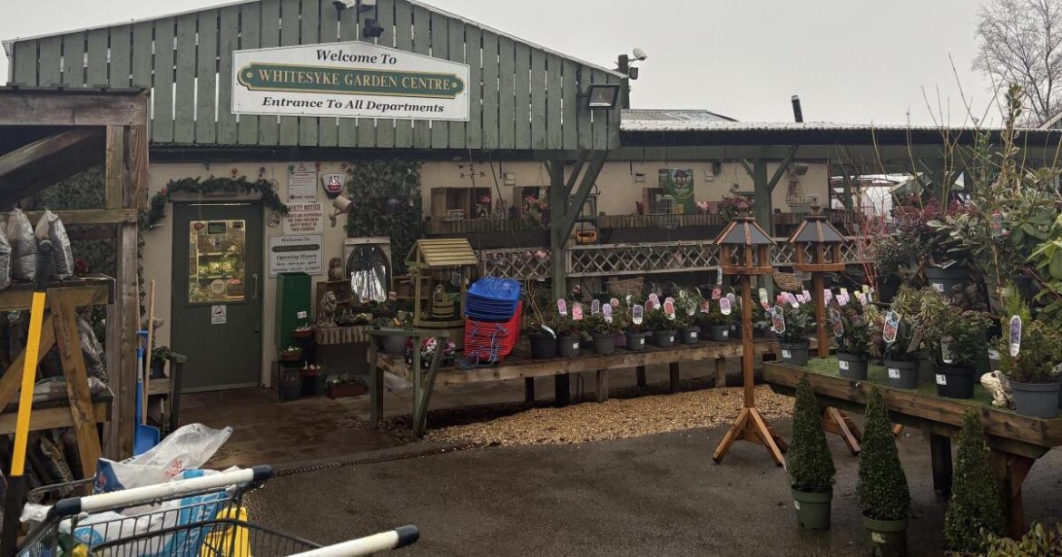 Readers share experiences of Whitesyke Garden Centre Readers share experiences of Whitesyke Garden Centre