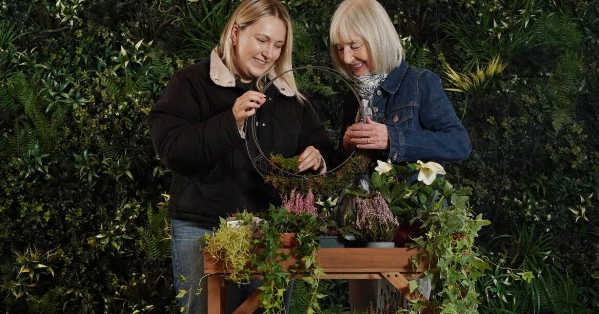 Dobbies in Ayr hosting hands-on planted wreath workshop