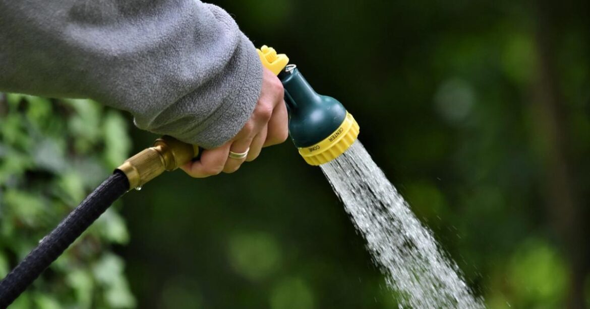 Ceredigion has cheapest garden space in Wales, survey finds