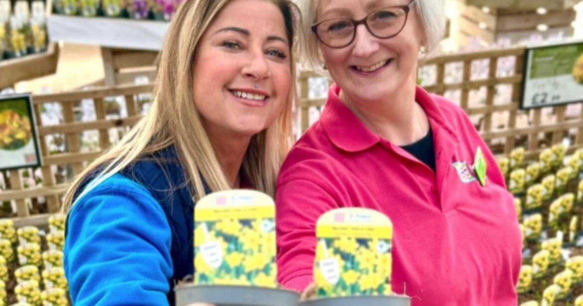 St Peter's Garden Centre named among the best in Britain