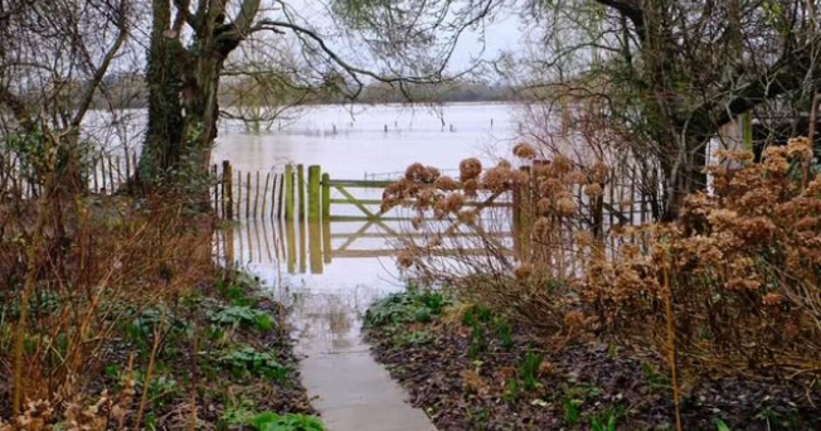 BBC Gardeners' World star Monty Don on health and floods