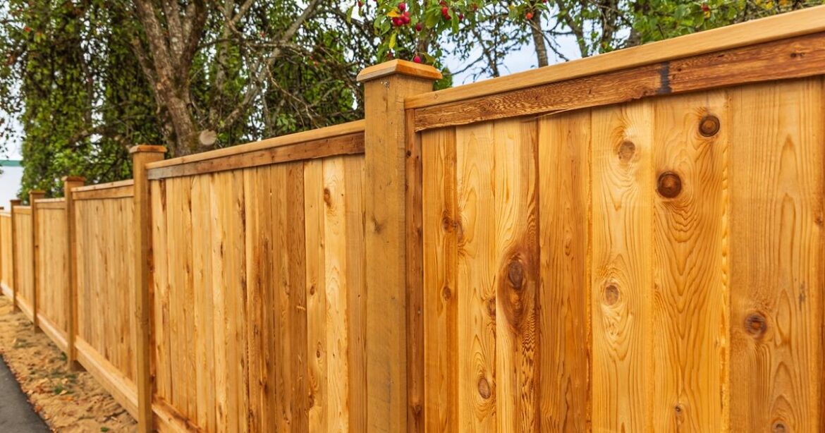 Brits urged to not use bleach on garden fences by experts