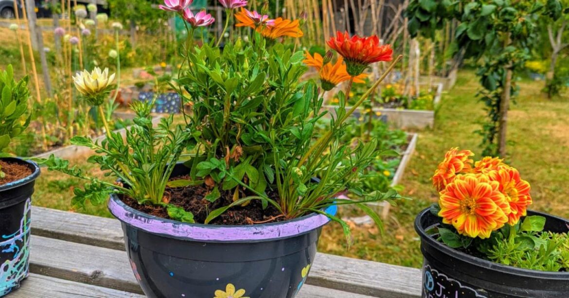 Wiltshire: Nature to be used at new sessions for children