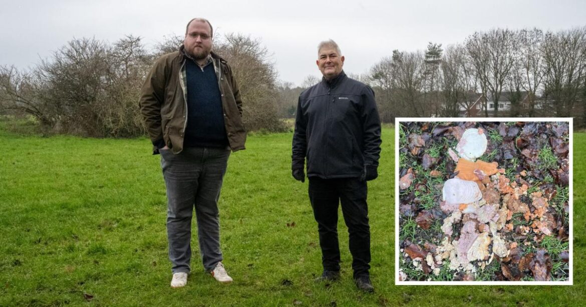 Meat dumping mystery remains unsolved in Darlington garden