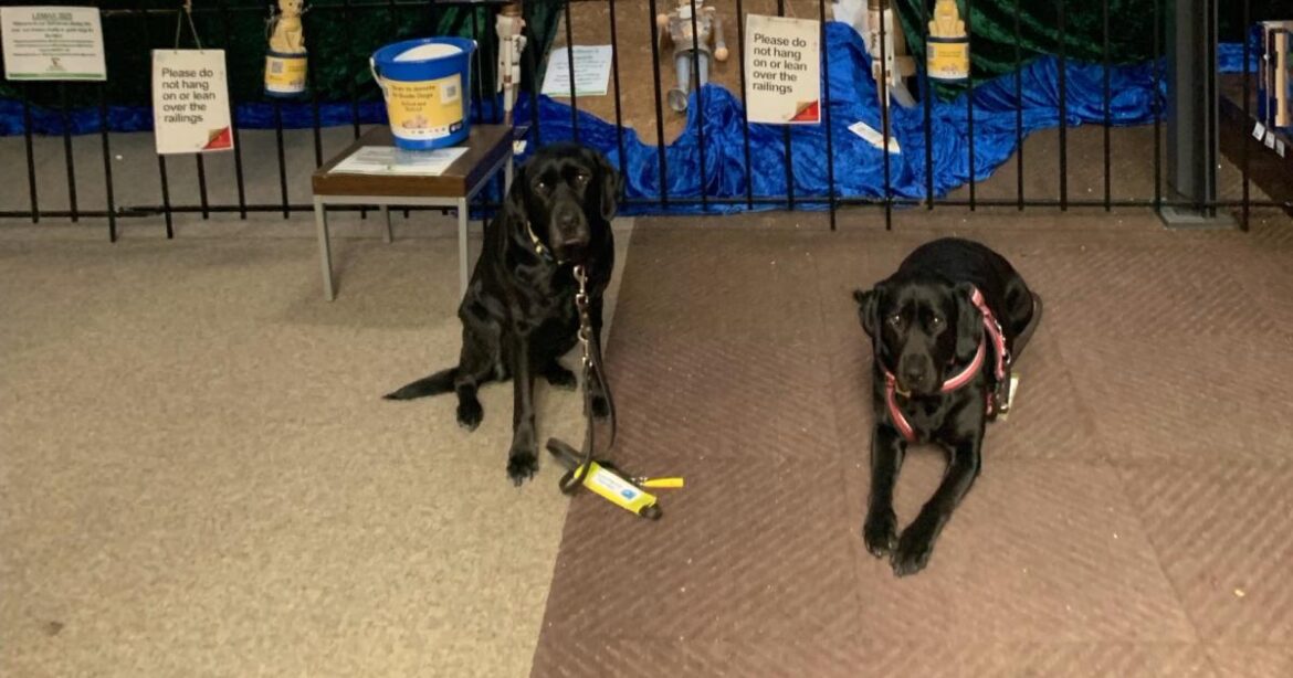 Oxfordshire garden centre raises £1000 for Guide Dogs