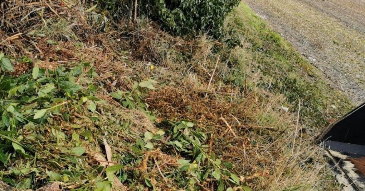 Gardener prosecuted for fly-tipping after motorist spots crime