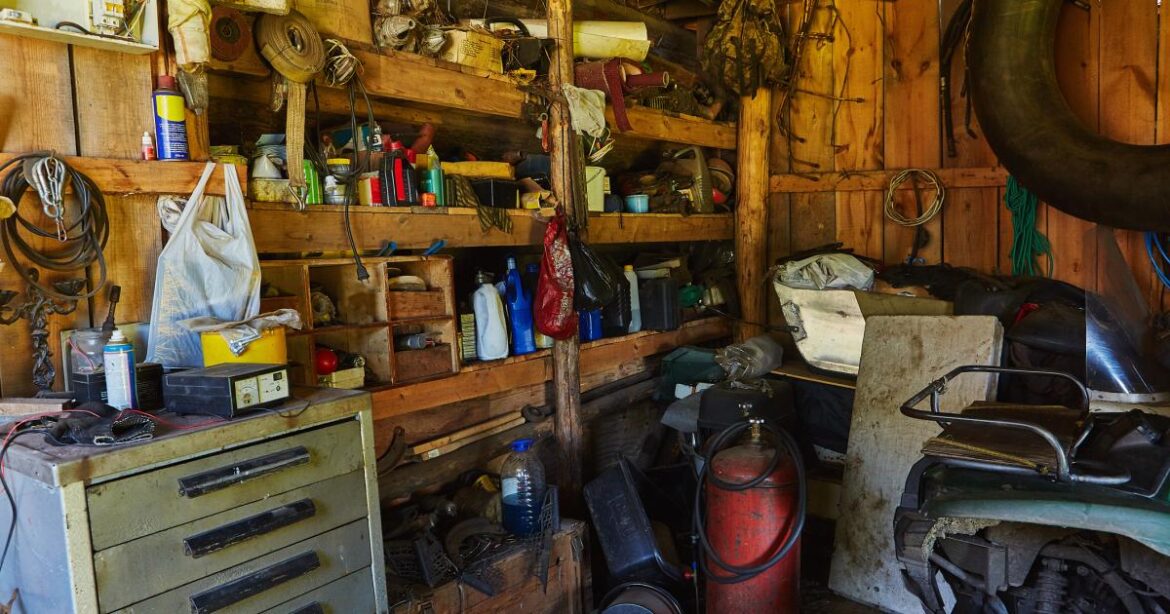 Garden experts reveal 6 things to never keep in your shed Garden experts reveal 6 things to never keep in your shed