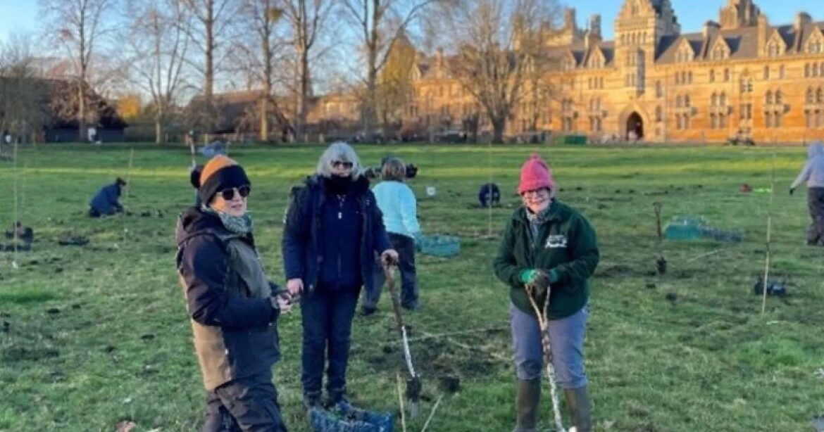 Oxford students and staff plant wildflowers in Christ Church