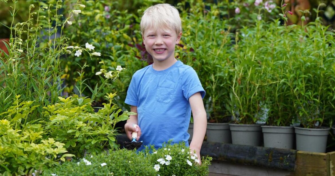 Free children's gardening session at Dobbies, Moreton Park