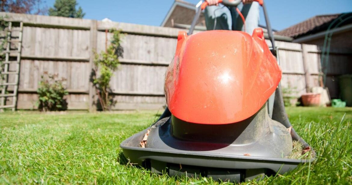 When should you cut a lawn after winter in the UK? 2026 date When should you cut a lawn after winter in the UK? 2026 date