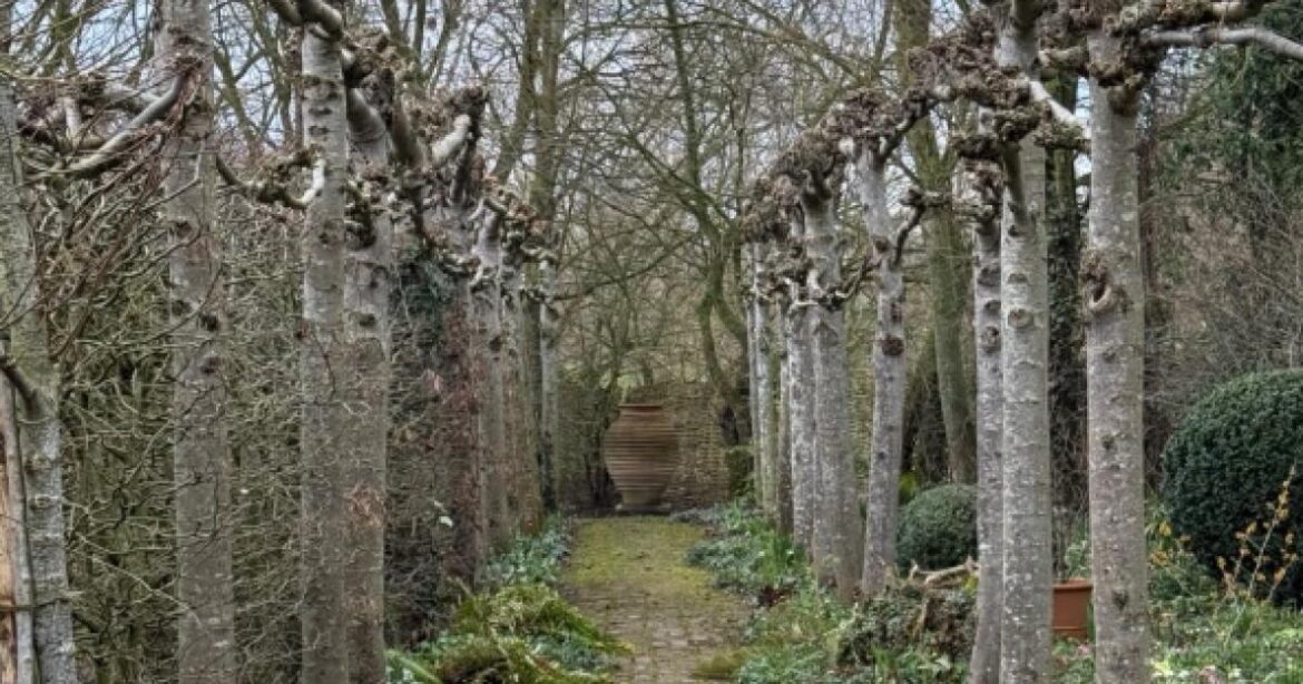 Gardeners' World's Monty Don on mowing grass in February