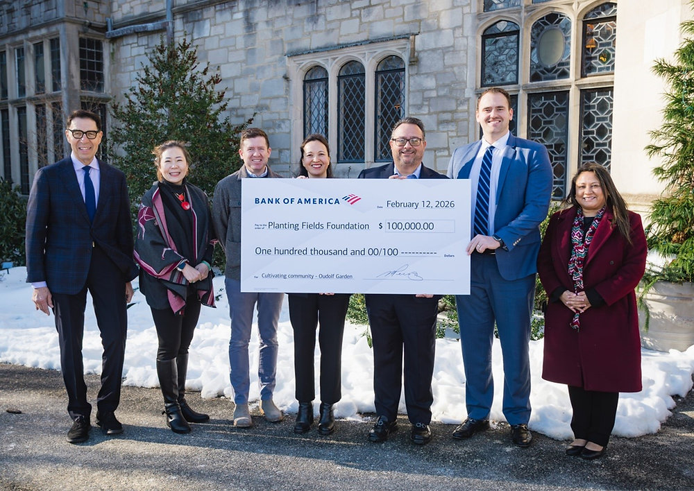 Planting Fields Foundation Awarded $100K by BOA for “Oudolf Garden” Planting Fields Foundation Awarded $100K by BOA for “Oudolf Garden”