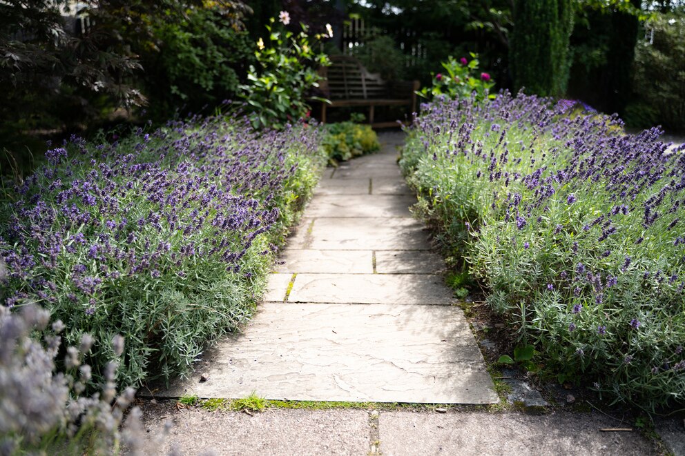 Trends in Gardening for 2026 Trends in Gardening for 2026