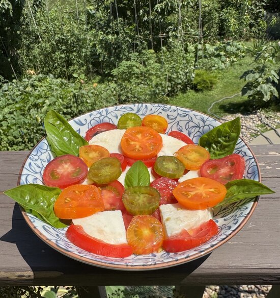 25RecipefirsttomatoesCapresesalad27jul.jpg 25RecipefirsttomatoesCapresesalad27jul.jpg