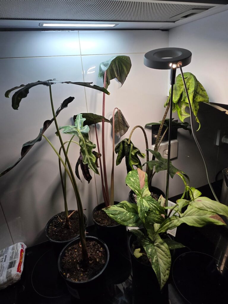 after being in a hot car for literally 10 mins???