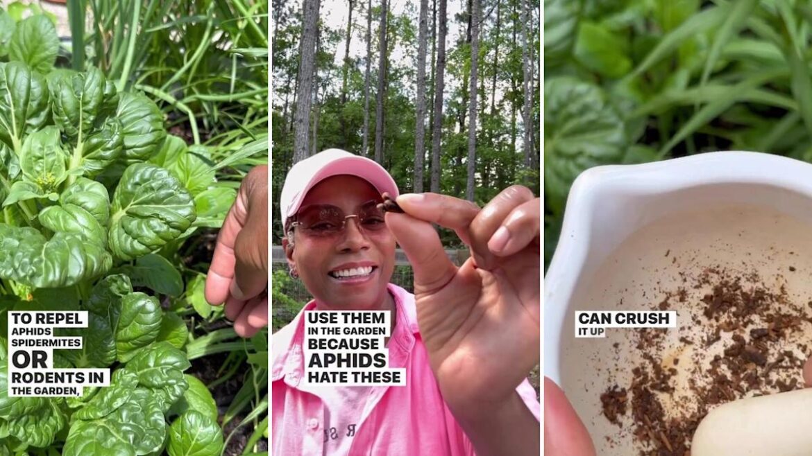 'I needed to see this'