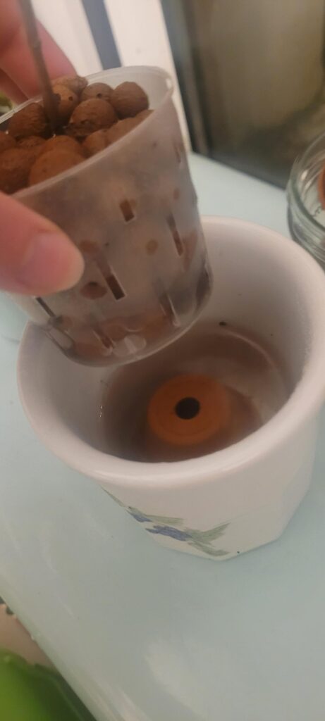 Need help starting hydroponics