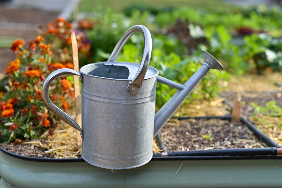Gardener gets adorable surprise while investigating plugged watering can: 'Cutest clog in history'