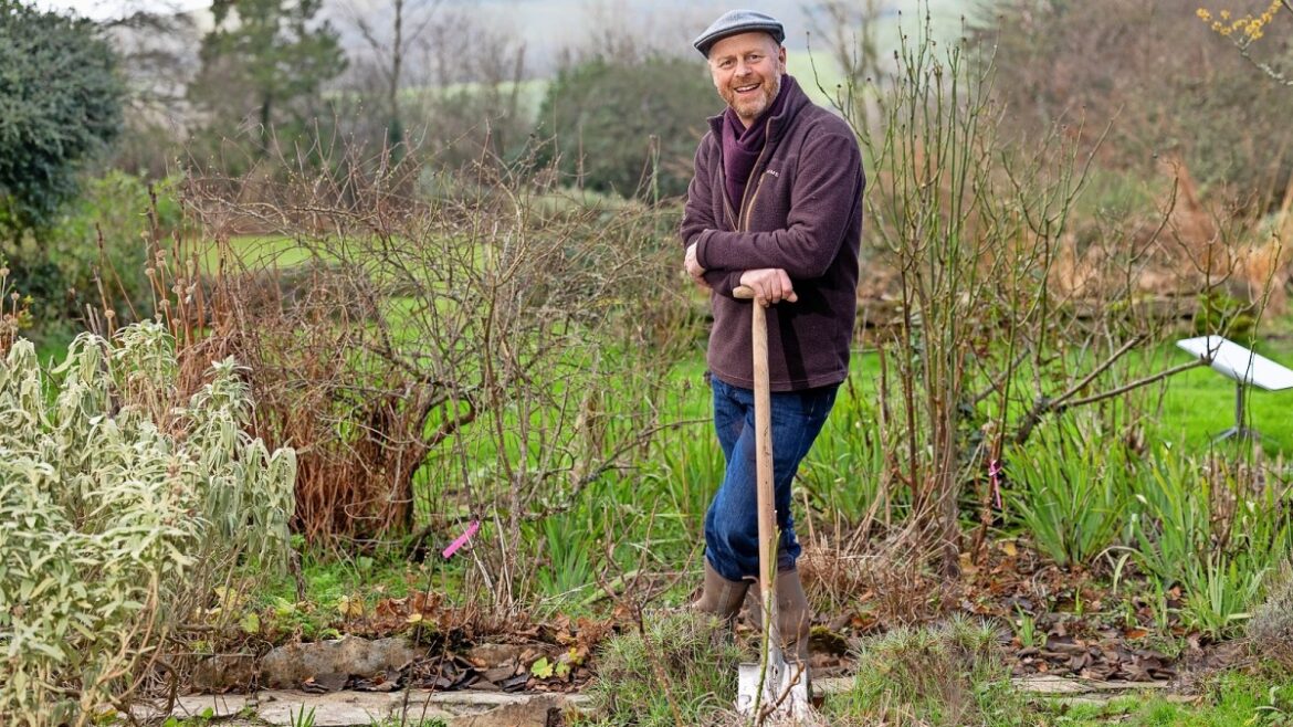 How to rescue a garden from winter neglect