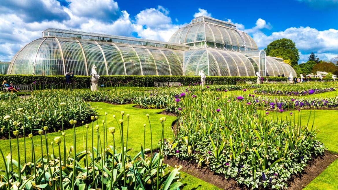 Kew Gardens hothouses to achieve net zero in £60m renovation