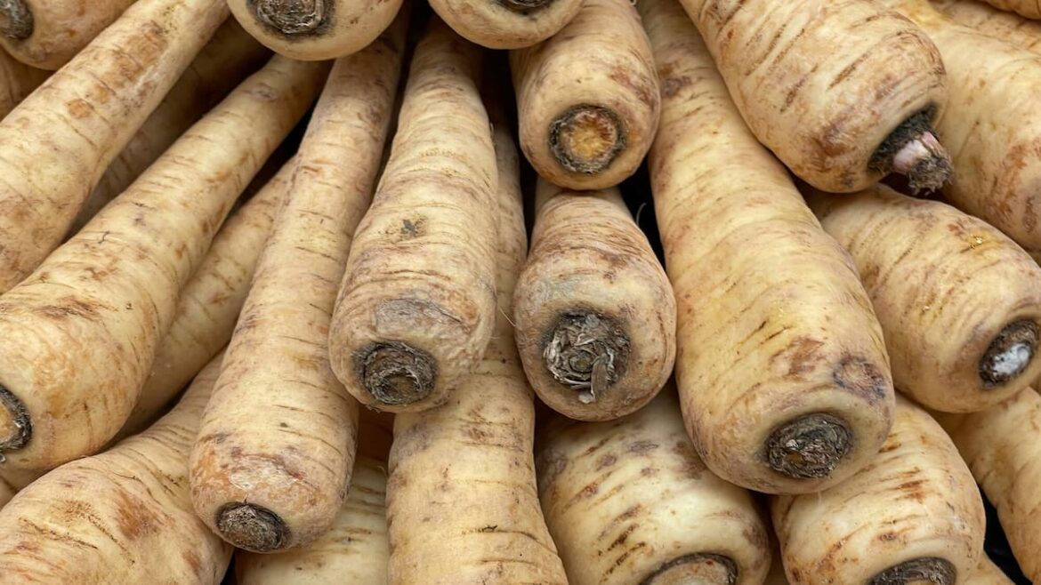 Kem Ormond’s vegetable garden: How to grow parsnips for sweeter, tastier results