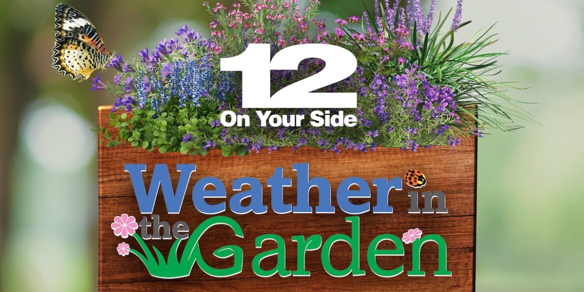 Weather in the Garden returns to the Great Big Greenhouse Weather in the Garden returns to the Great Big Greenhouse