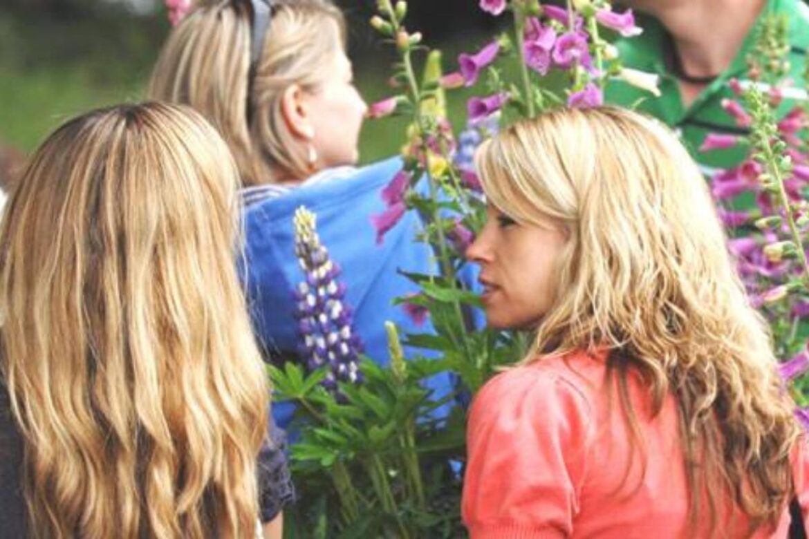 Garden Show to bring plants, talks and crafts to historic castle grounds